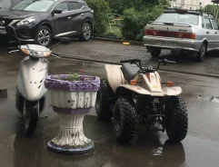 ��� ��������. ����������, ��� ���\���, � �������� ����