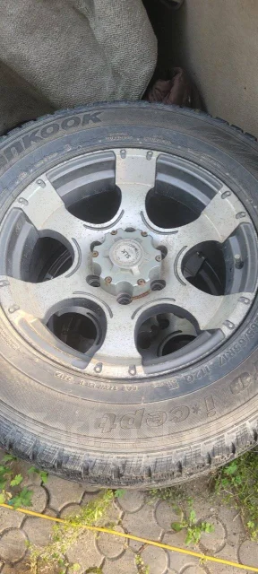 SHLK. x17" ����