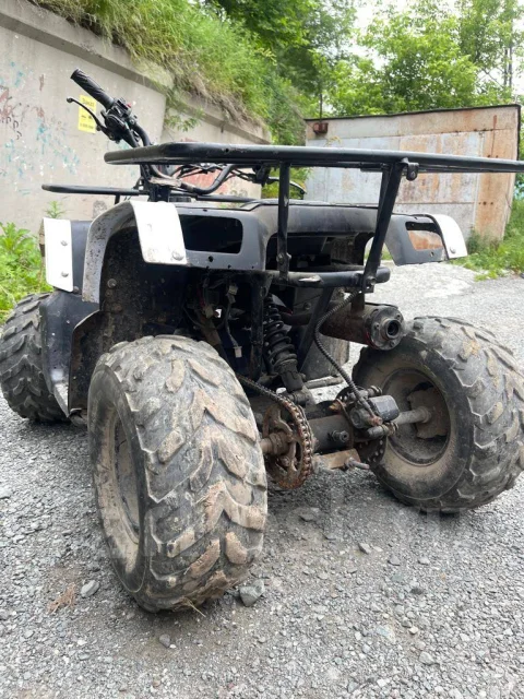 Grizzly Aerox. ��������, ��� ���\���, �� ����