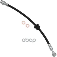 ����� ��������� Zikmar ���. Z75571R Z75571R ����