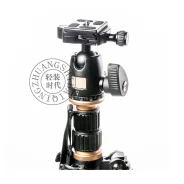 ������ QZSD Q555 � ������� ������� ����