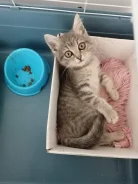 �����. ����