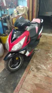 Irbis. 50����. ��., ��������, ��� ���, � �������� ����