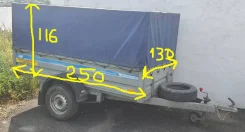 �������. �����: 204���. ����