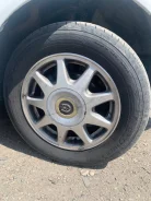 Toyo Eco Walker. ������, 2012 ���, �/�, ����� 20 % ����