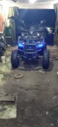 Tiger. ��������, ��� ���\���, ��� ������� ����