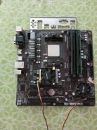 AMD FX-4350 ����