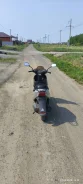 Suzuki Address V110. 110����. ��., ��������, � �������� ����