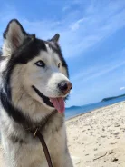 ��������� �����. ����
