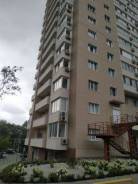 ��������. ��� "�������, 51 �". ����� ������� 51� ����