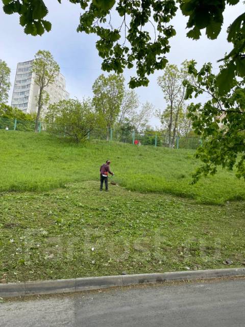 Покос травы во Владивостоке