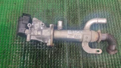 �������� ������� EGR Peugeot Expert ����
