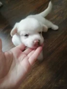 ������. ����