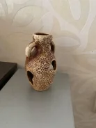 �����. ����