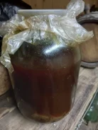 �������� ����� ����