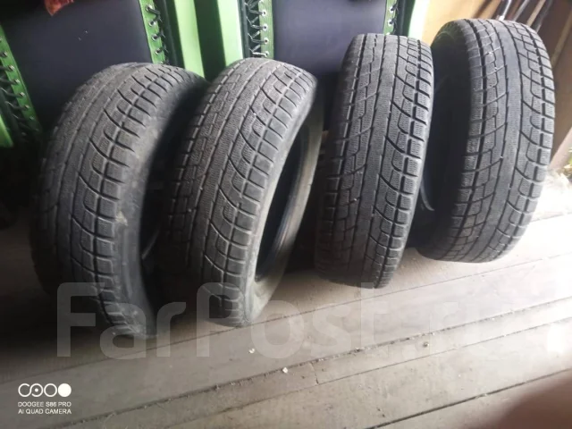 Presa PI14. ������, ��� �����, 2019 ���, �/�, ����� 40 % ����