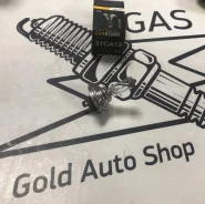 31CA13 ����� �7 12V (55W) Day&Night 31CA13 ����