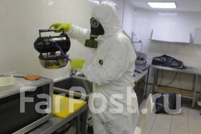 Дезинсектор Дезинфектор на дом. Травить травка: тараканов клопов блох ...