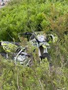Avantis FX 250 Lux. 250����. ��., ��������, ���, � �������� ����