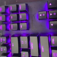 ����������. ����