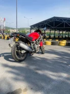 Ducati Monster 800. 800����. ��., ��������, ���, � �������� ����