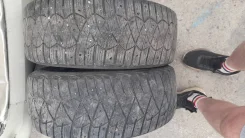 Avatyre Freeze. ������, ����������, �/�, ����� 60 % ����
