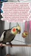 �������. ����
