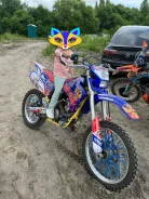 Yamaha WR 250F. 250����. ��., ��������, ���������, ������ �� �� ����
