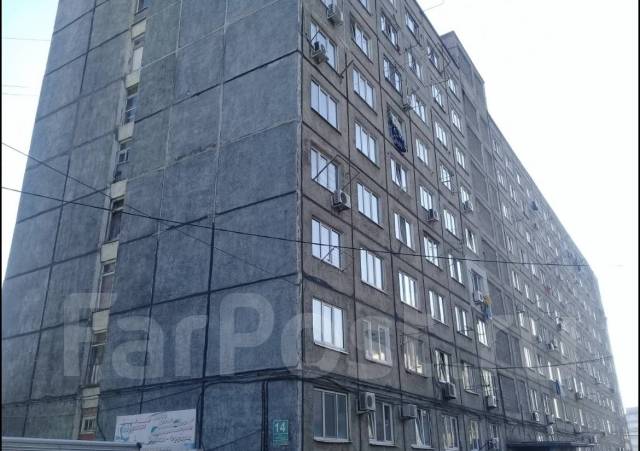 Астра фото владивосток окатовая