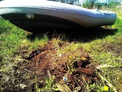 Badger Air Line. ����� 4,2��. ����
