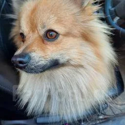 ������. ����