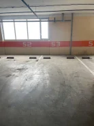 ����� �����������. . ��� ������ ����