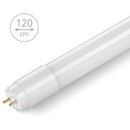 ������������ �������� ����� WOLTA 20�� 6500� G13 1200�� 25WT8-20G13 ����