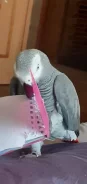 �������. ����