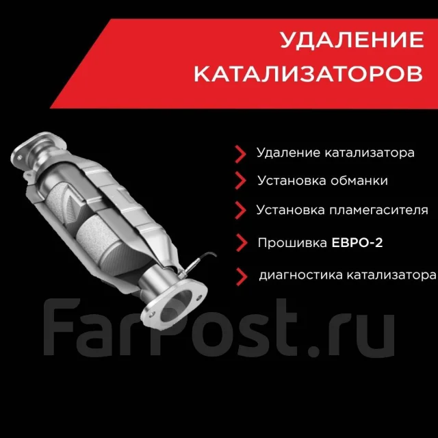 Удаление катализатора, программное отключение, установка пламегасителя ...