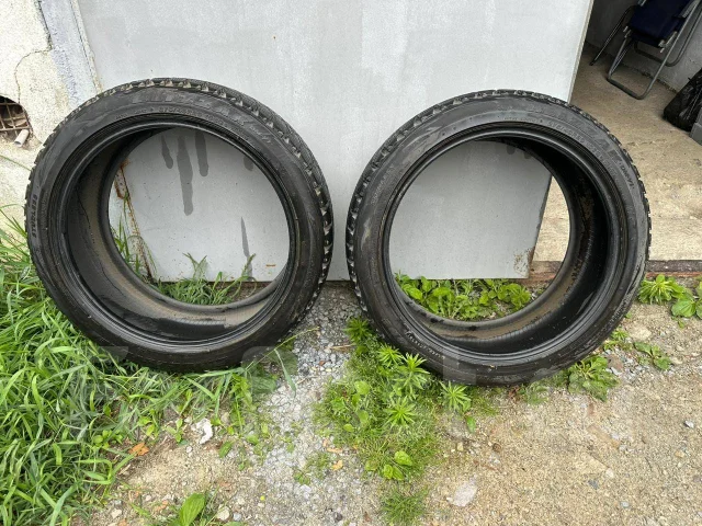 Bridgestone Blizzak DM-V1. ������, ��� �����, 2021 ���, �/�, ����� 5 % ����