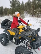 Tiger. ��������, ��� ���\���, �� ����