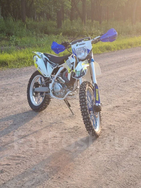 Avantis FX 250 Lux. 250����. ��., ��������, ���������, ������ �� �� ����