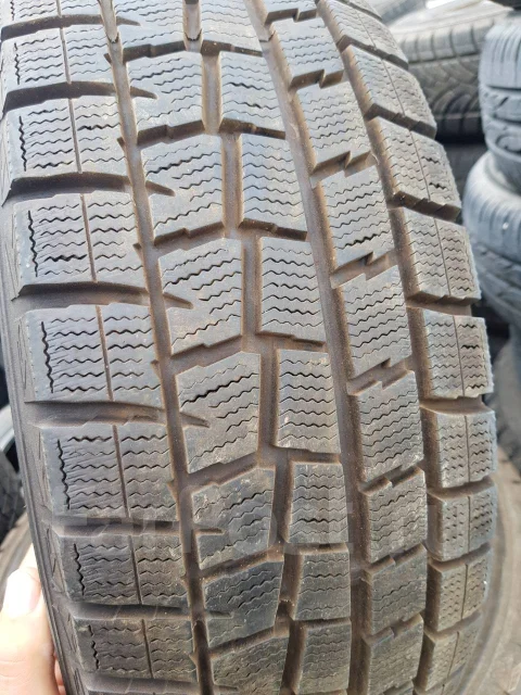 Dunlop SP Winter. �����������, �/�, ����� 10 % ����