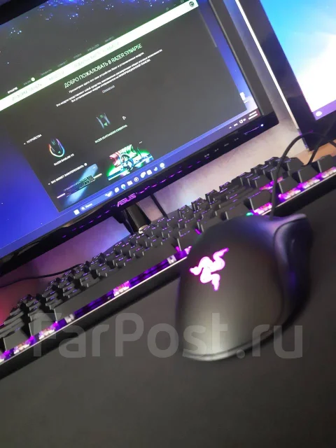 Razer ����