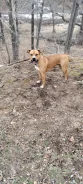 �������� ������ ���� ������� ��� �����, ����