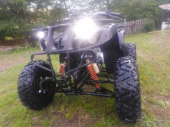 Yamaha Grizzly 250. ��������, ��, �� ����