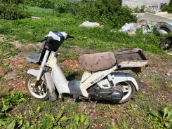 Suzuki Mollet. 49����. ��., ��������, ��� ���, ������ �� �� ����