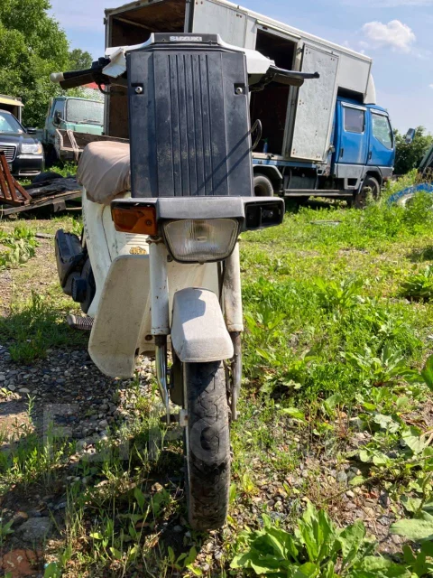 Suzuki Mollet. 49����. ��., ��������, ��� ���, ������ �� �� ����