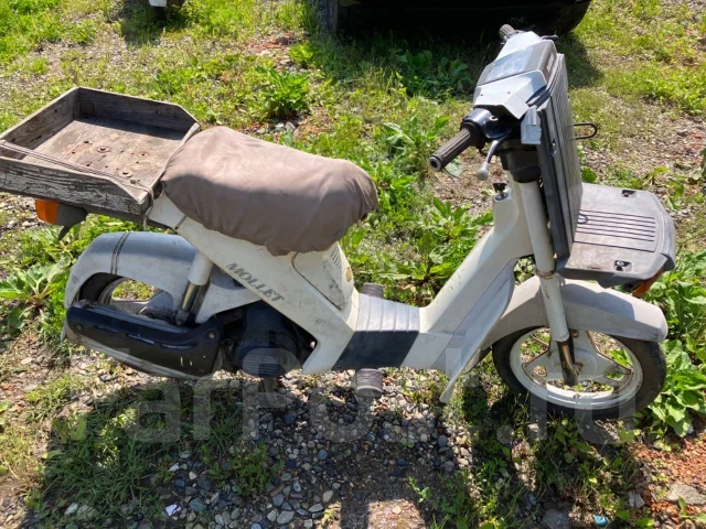 Suzuki Mollet. 49����. ��., ��������, ��� ���, ������ �� �� ����