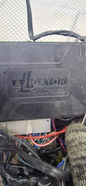 Alligator ����