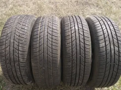 Zeetex WP1000. ������, ��� �����, 2018 ���, �/�, ����� 5 % ����