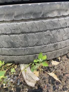 Bridgestone M788. ������, 2021 ���, �/�, ����� 70 % ����