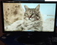 ViewSonic. 24", ���������� �� (LCD, LED, QLED) ����