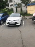 Toyota Corolla Axio. �������, ��������, 1.3 (95��.�.), ������, 66����. �� ����